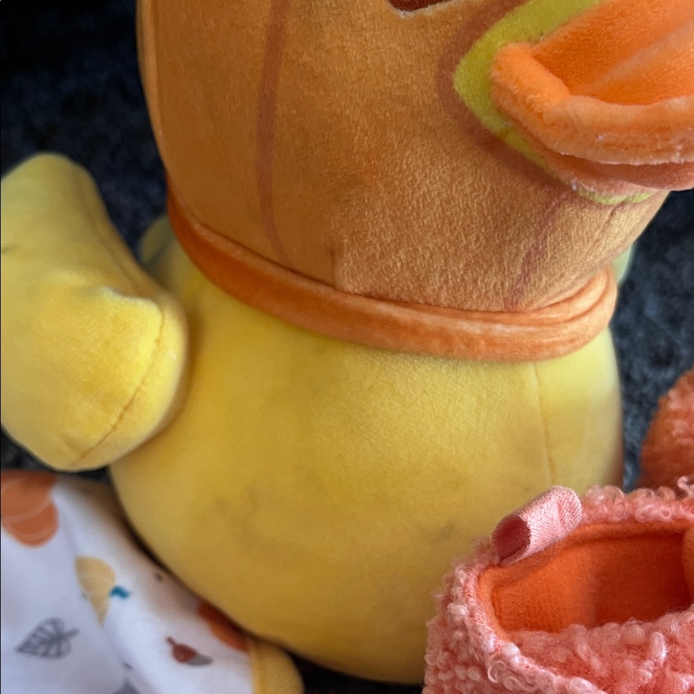Baby pumpkin bundle - Picture 5 of 12